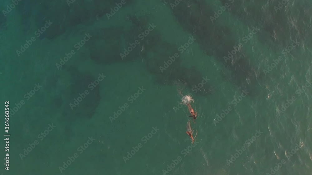 Aerial view of two girls swimming at the ocean in a virgin beach. Aerial view of the Pacific Ocean. Oaxaca virgin beach, México Aerial view of two girls swimming at the ocean in a virgin beach. Aerial view of the Pacific Ocean. Oaxaca virgin beach, México