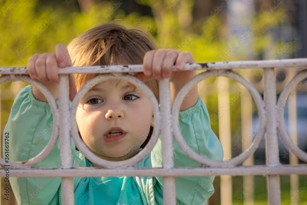 child on the fence