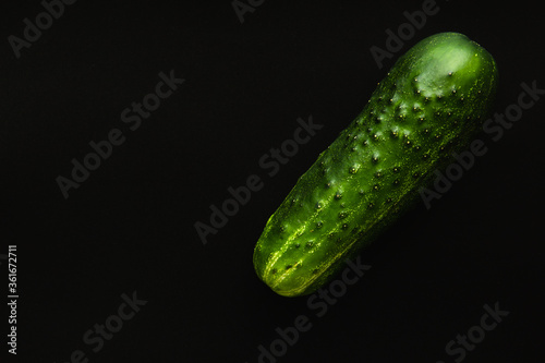 Green cucumber on a black background  close up  copy space.