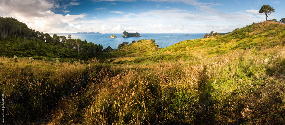 Panoramatic coast on Coromandel peninsula, New Zealand