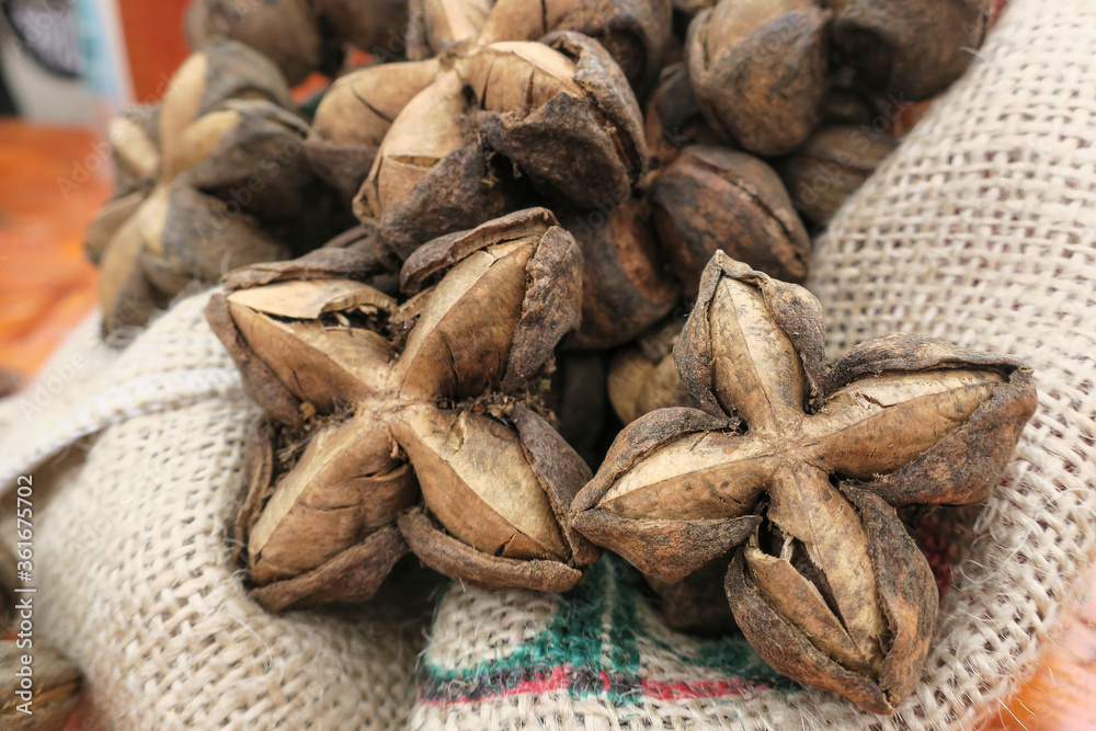 Bodegón de frutos de Sacha Inchi. Los bulbos contienen en su interior las semillas, ricas en grasa y proyeínas. Bodegón de frutos de Sacha Inchi. Los bulbos contienen en su interior las semillas, ricas en grasa y proyeínas.