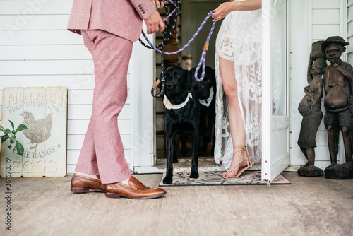 Bride and groom walking their dog photo