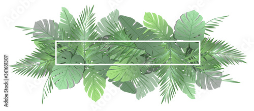 palm leaf background with title box. leaves illustration for graphic design. 