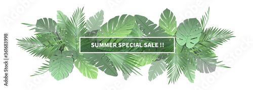 palm leaf background with title box.
leaves design for summer promotion.