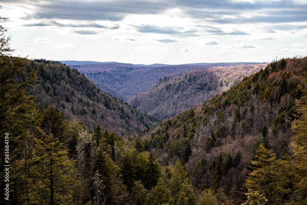 Mountains in Blackwater Falls.