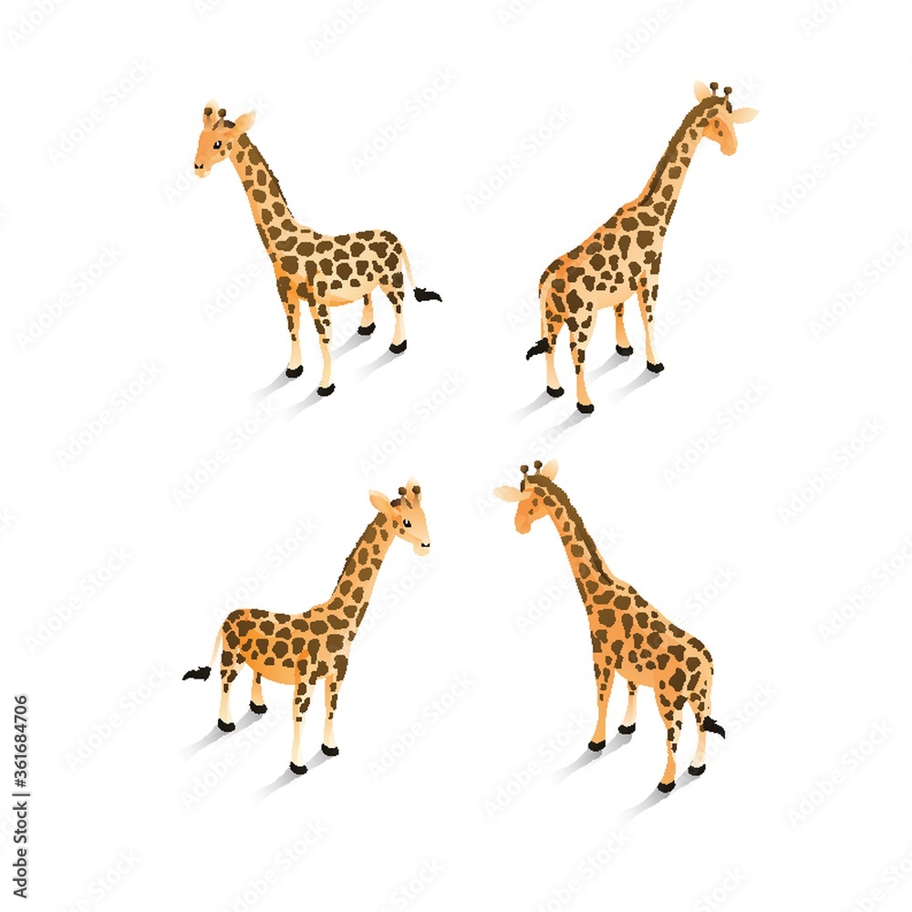 Obraz premium Isometric giraffes