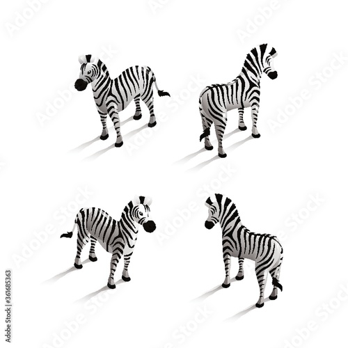 Fototapeta Naklejka Na Ścianę i Meble -  Isometric zebra