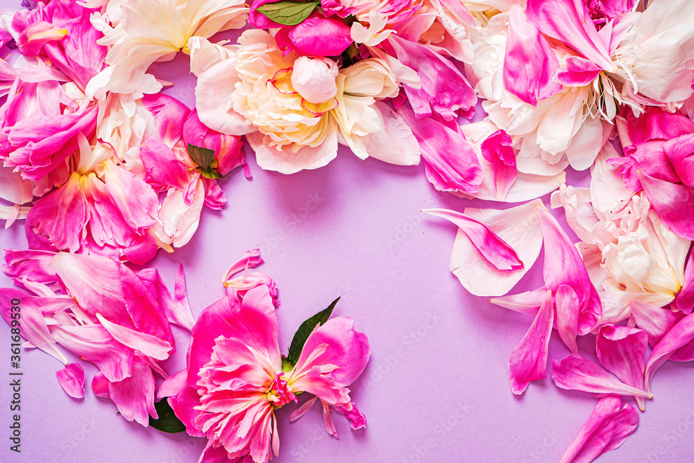 Fototapeta premium peony petals on the color background