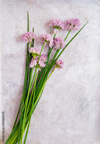 chives on the metal background