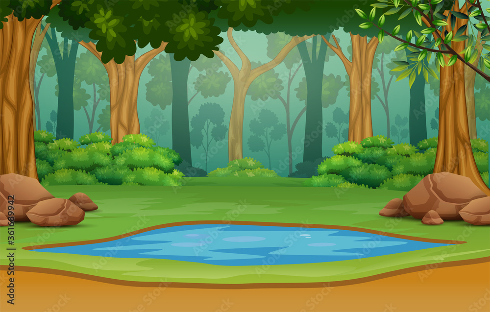 Small pond in the middle of the forest