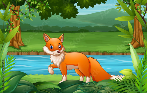 Fox cartoon walking in the nature