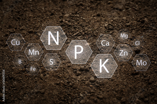 Fotografía Texture of soil and its specified components