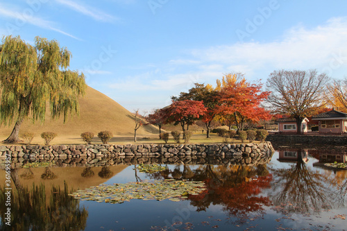 Autumn view of Daereungwon Royal Tomb park with the blue sky in Gyeongju, Soutn Korea photo
