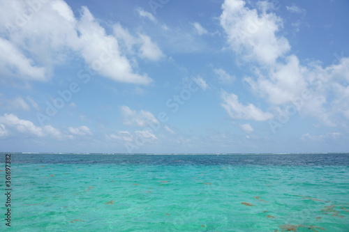 Fototapeta Naklejka Na Ścianę i Meble -  The Turquoise Sea of Mexico