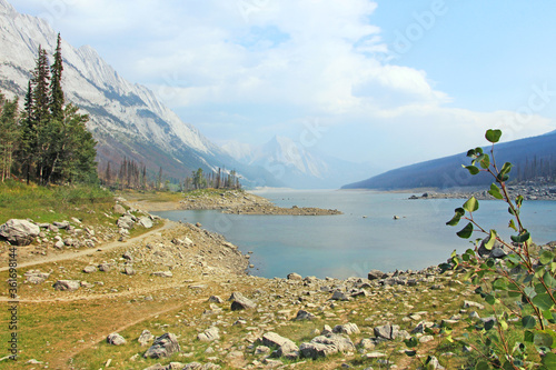 Fototapeta Naklejka Na Ścianę i Meble -  Medicine lake lookout point on the lake and mountain with little plant in the foreground, Jasper National park, AB.
