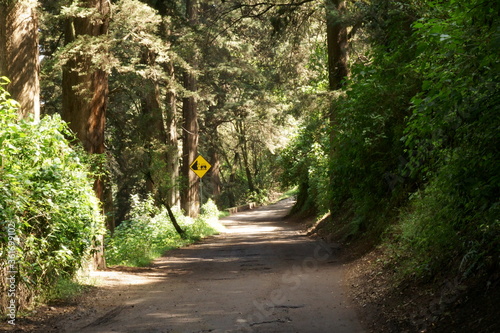 Natural Wildlife Park in Mexico