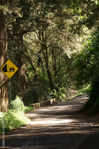 Natural Wildlife Park in Mexico