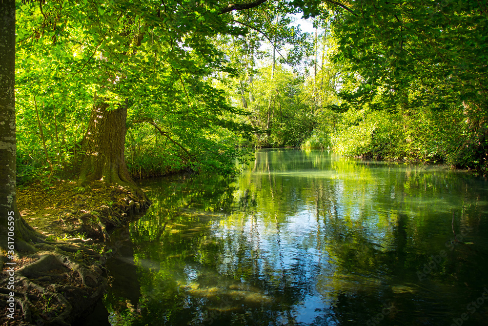 Obraz premium Natur am Hallwiler See im Aargau in der Schweiz