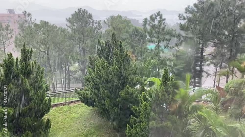 Rainfall on a summer's day.
