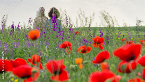 Fototapeta Naklejka Na Ścianę i Meble -  Young women in the poppies field