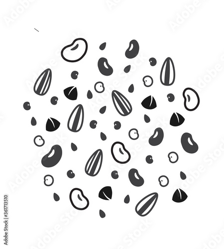 Several types of cereal grains vector illustration