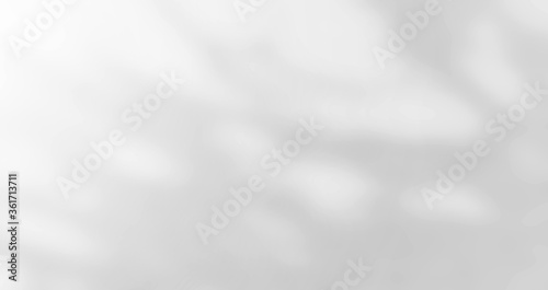 Abstract Shadows, blurred background of gray leaves and natural trees that reflect concrete walls, fallen branches on white wall surfaces for blurred backgrounds and black and white wallpapers.