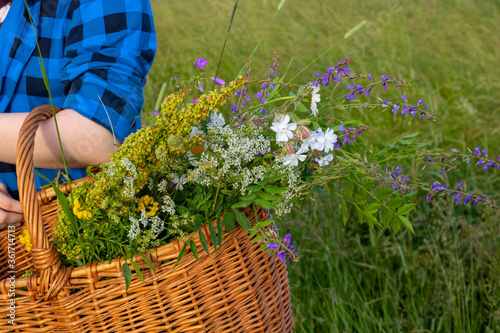 In the hands of a young girl  a basket with a bouquet of wild flowers in close-up against a background of tall green grass. space for your text