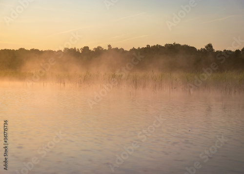 Foggy weather early in the morning on the lake. beautiful wallpapers. a mystical mist vibrates in the lake. summer sunrise