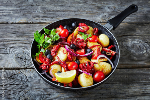 Baby octopus with young potatoes on a frying pan photo