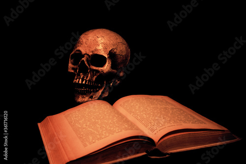 Ein Schädel und ein Buch