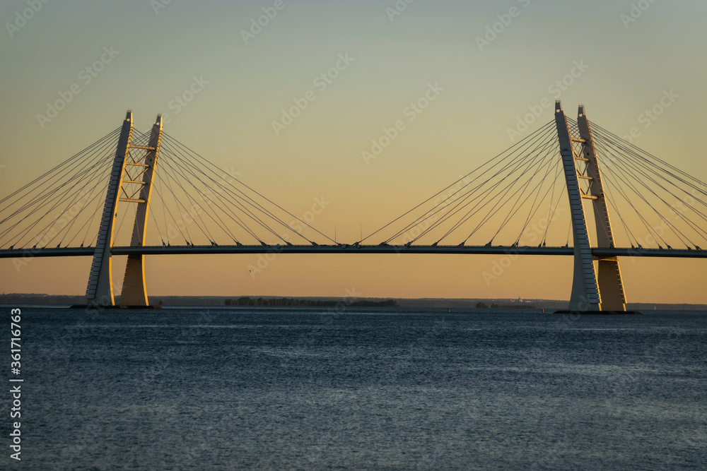 The cable-stayed bridge across the Petrovsky fairway of the western high-speed diameter The cable-stayed bridge across the Petrovsky fairway of the western high-speed diameter