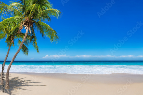 Fototapeta Naklejka Na Ścianę i Meble -  Beautiful beach with coco palms and turquoise sea in Jamaica island. Copy space in blue sky.
