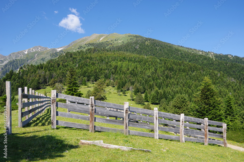 Clôtures cortal en bois en montagne pour garder les vaches dans les pâturages dans les Pyrénées à Prat Cabrere face au canigou