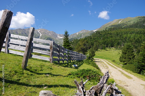 Clôtures cortal en bois en montagne pour garder les vaches dans les pâturages dans les Pyrénées à Prat Cabrere face au canigou photo