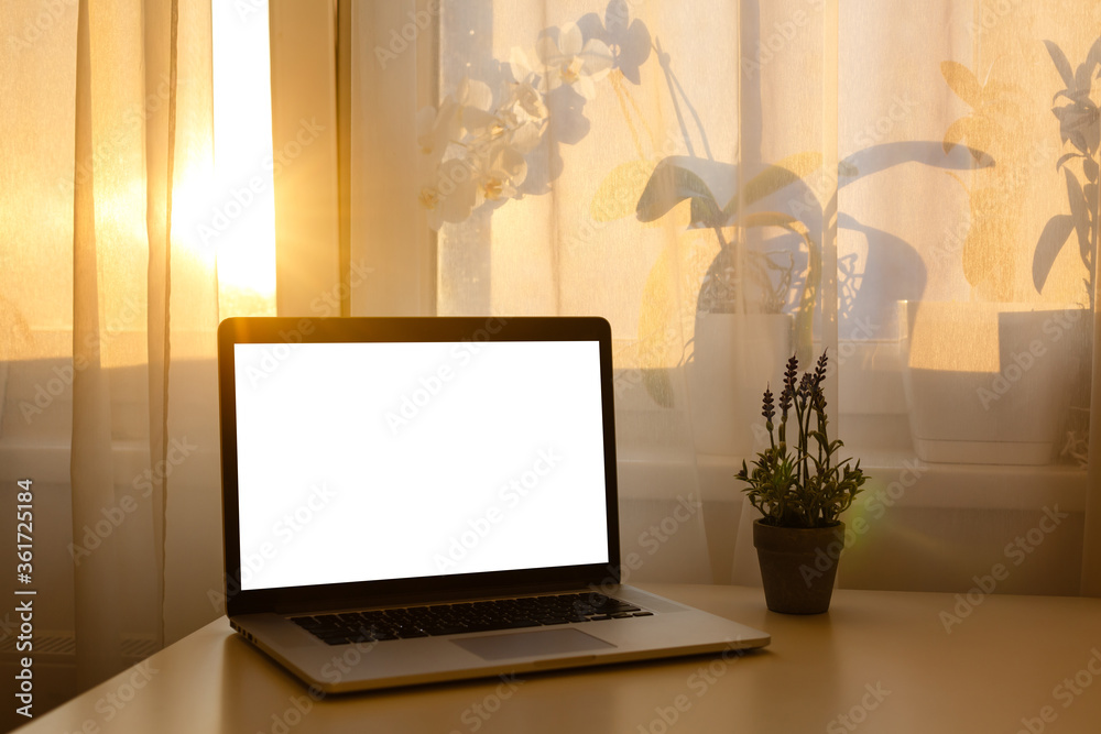 Fototapeta premium Side view of Open laptop computer. Modern thin edge slim design. Blank white screen display for mockup and gray metal aluminum material body isolated on blue background