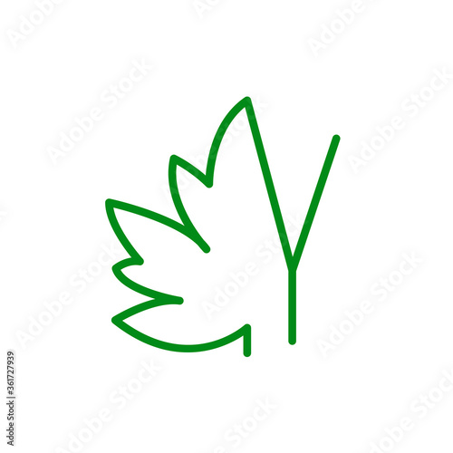 Concepto hoja de árbol. Logotipo lineal letra Y con mitad hoja de arce en color verde