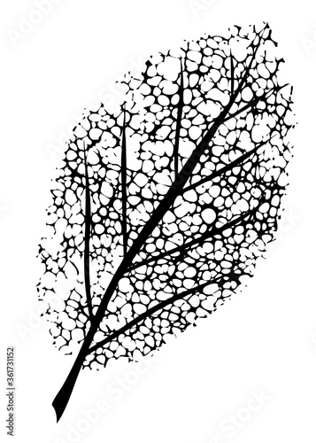 dead leaf symbol of grief