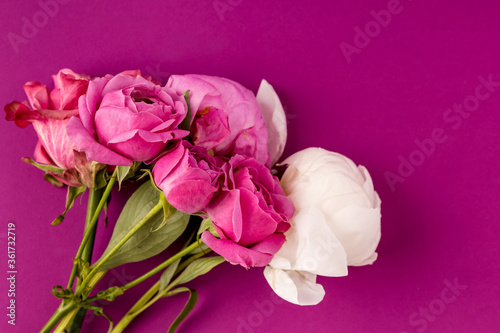 A bouquet of pink roses and pink and white peonies on a pink background.