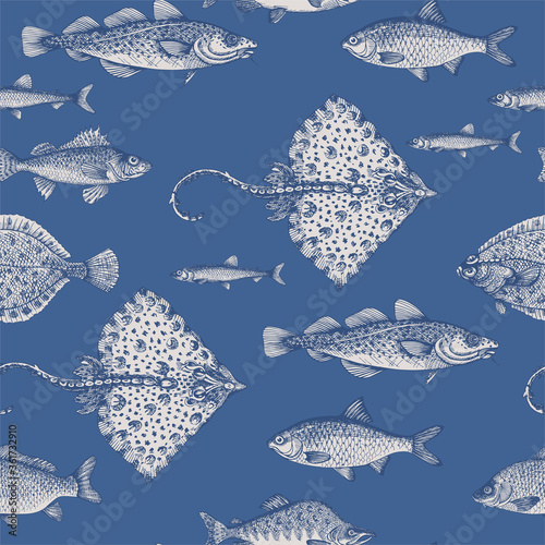 Ruff, thornback ray, carp, salmon, roach, cod, smelt, plaice. Sea fish. Fish and seafood products.