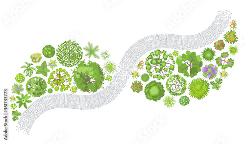 Vector illustration. Landscape design. Top view. Path, trees and flowers. View from above.