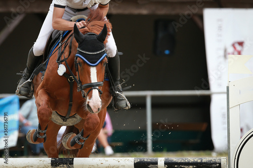 Show jumper with rider on a tournament jumping over an obstacle..