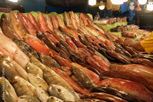 Parrotfish, the fish that can save coral reefs were sole in seaside market in Philippines. photo