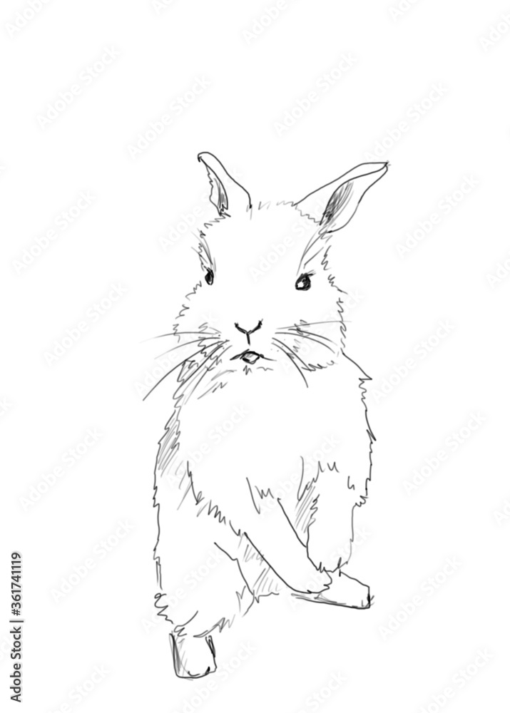 hand drawing line art of small easter rabbit 
