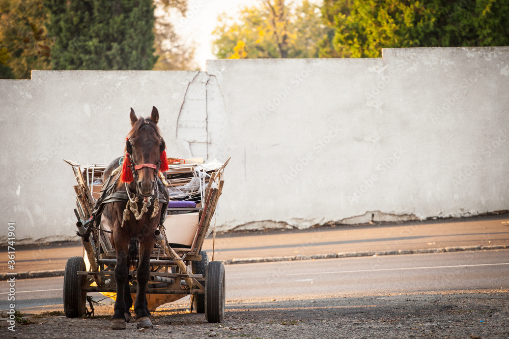 Obraz premium Gypsy horse cart used for garbage collection and recycling parked in the streets of belgrade, Serbia. Recycling garbage is an activity usually performed by the Roma community in the Balkans.