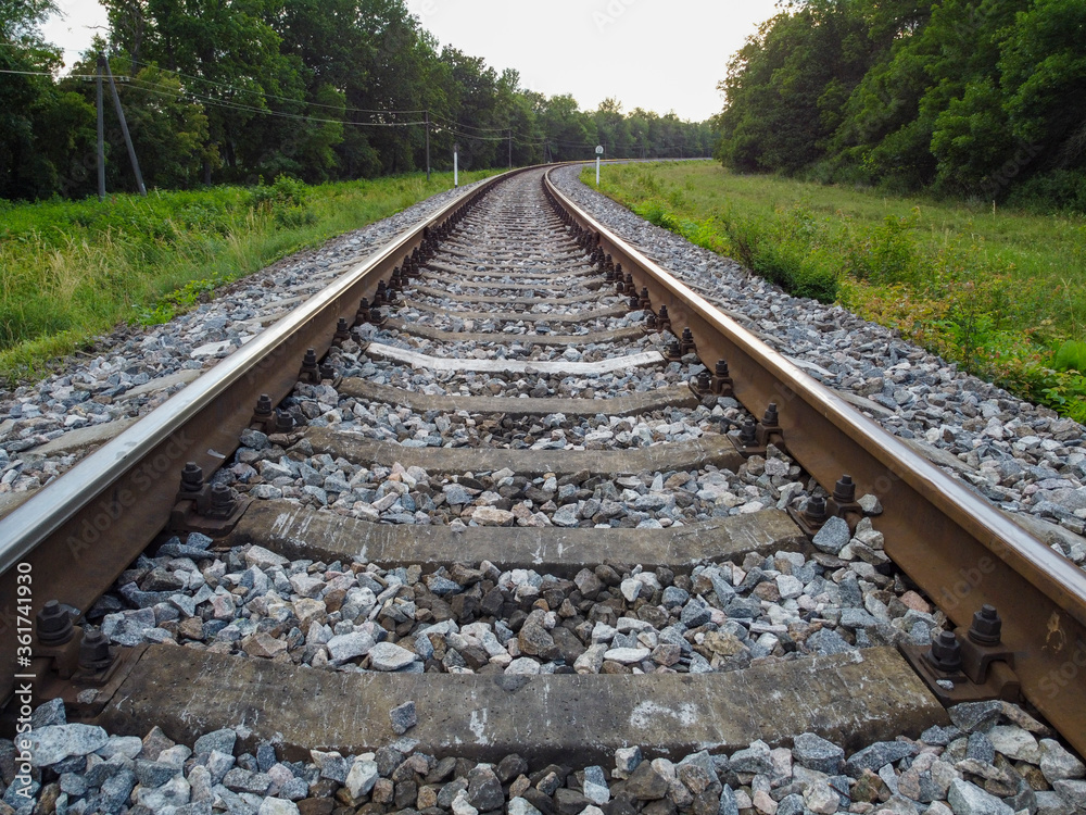 Fototapeta premium Railway tracks and beautiful nature, trees and forest.