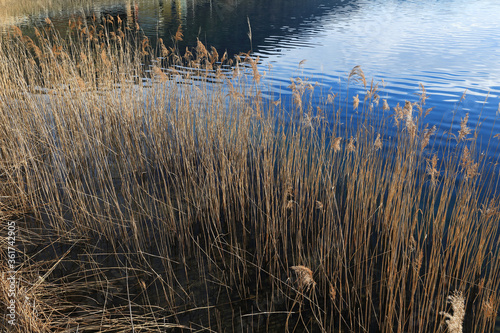 Lakeside of Lake Aegeri