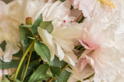 pink and white wedding bouquet © Yanina