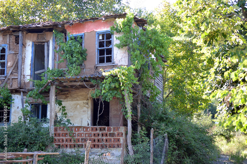 An old and abandoned house in the forest.