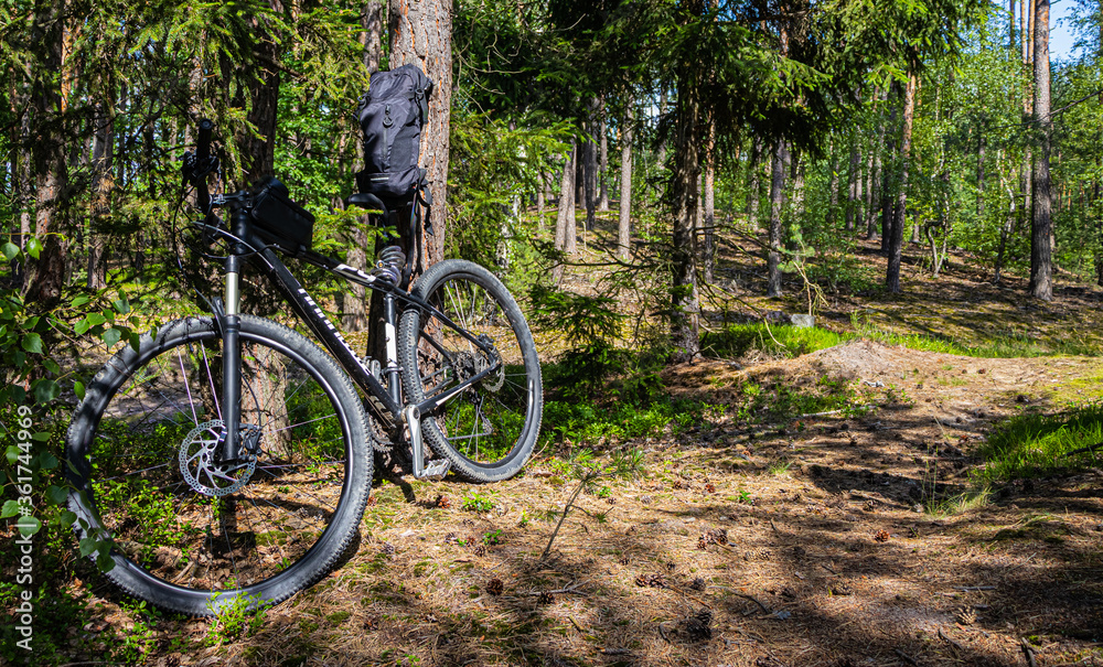 Bicycle in the forest - backpack on a bike. Bicycle and backpack.