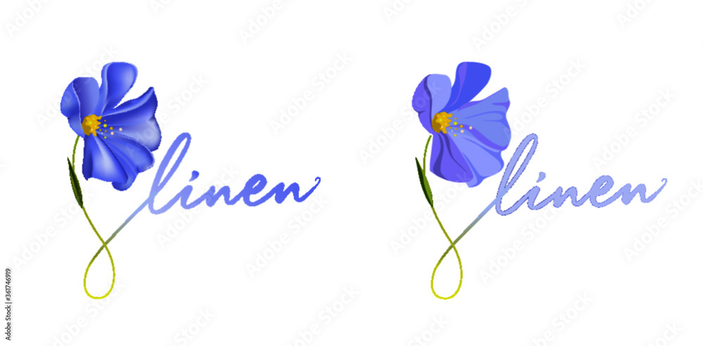 Linen flower, gradient and flat version